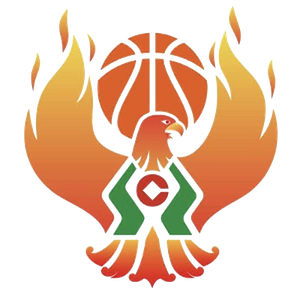 https://img.huasen.cc/img/basketball/team/09b49d34027e0409a4de3295f8c71a2d.png